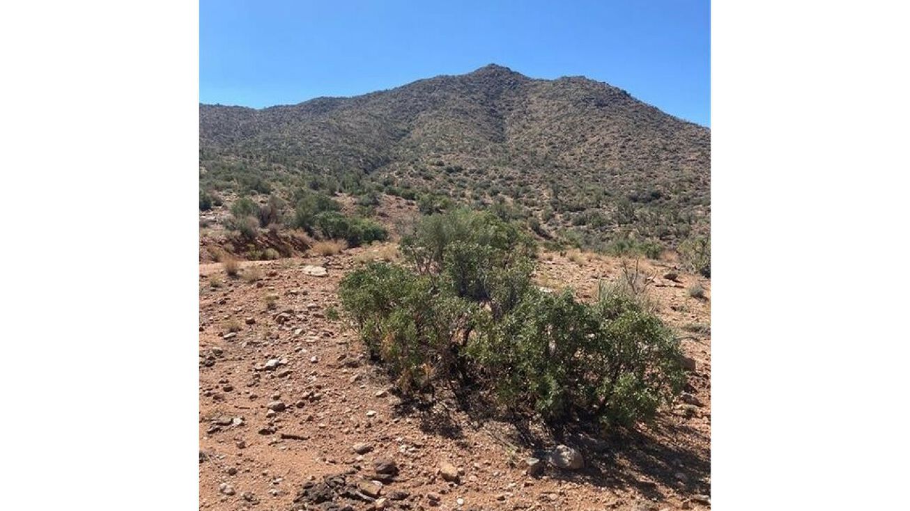 Charles Dr, Meadview, AZ 86444