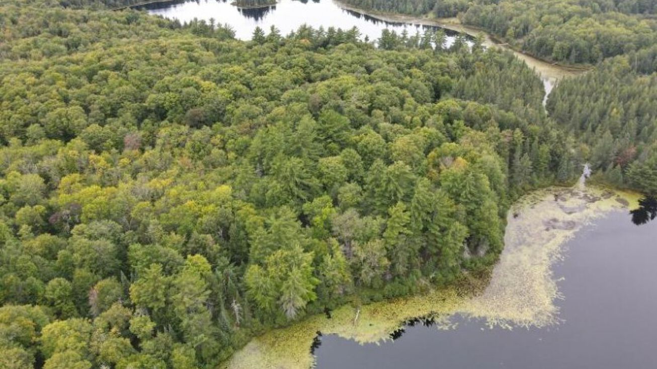 LOT 24 Grace Lake Rd, Watersmeet, MI 49969