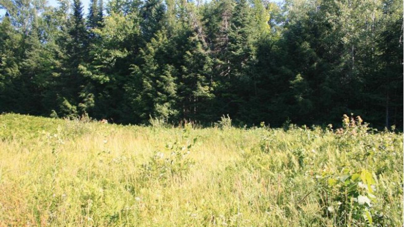 M28, Wakefield, MI 49968