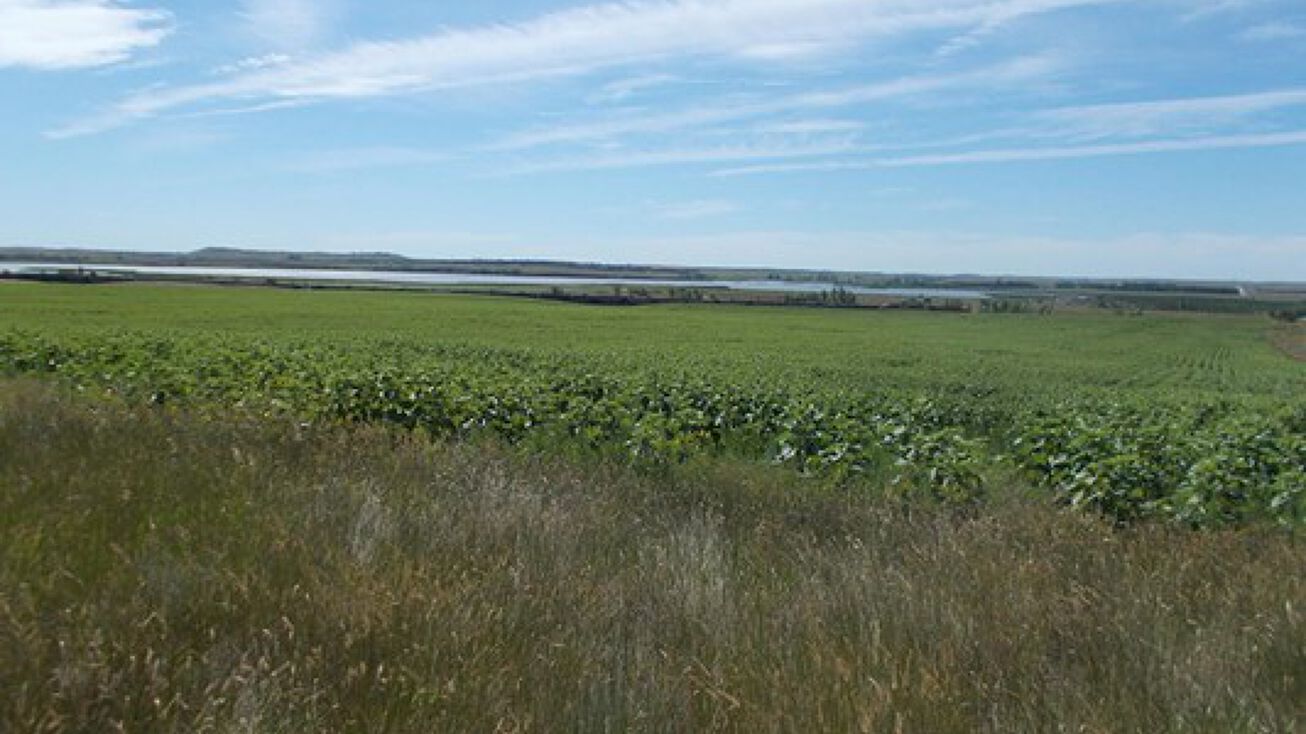 115th Ave SW, Dickinson, ND 58601