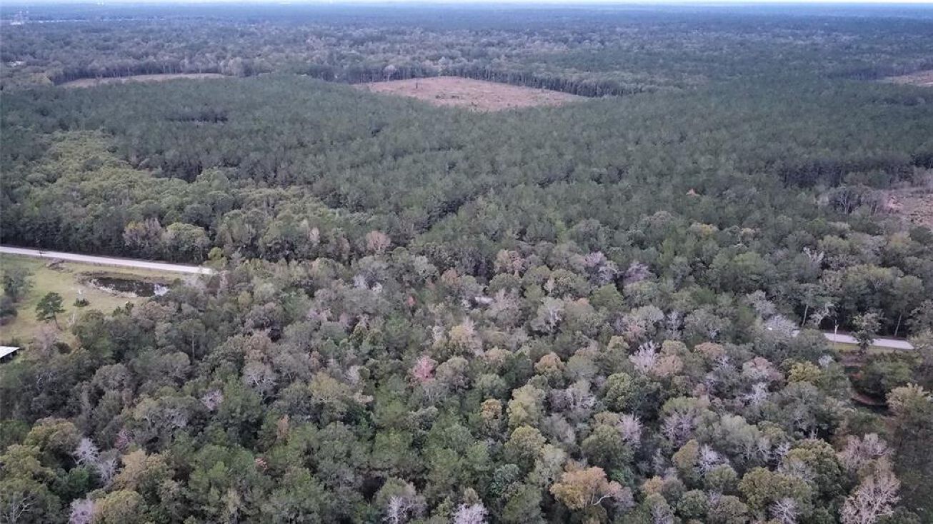 Red Rd, Shepherd, TX 77371 Land for Sale TBD Red Road Shepherd, TX