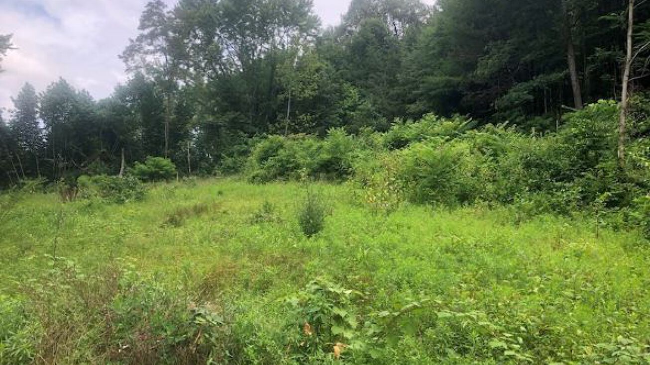 E 5th St, Damascus, VA 24236