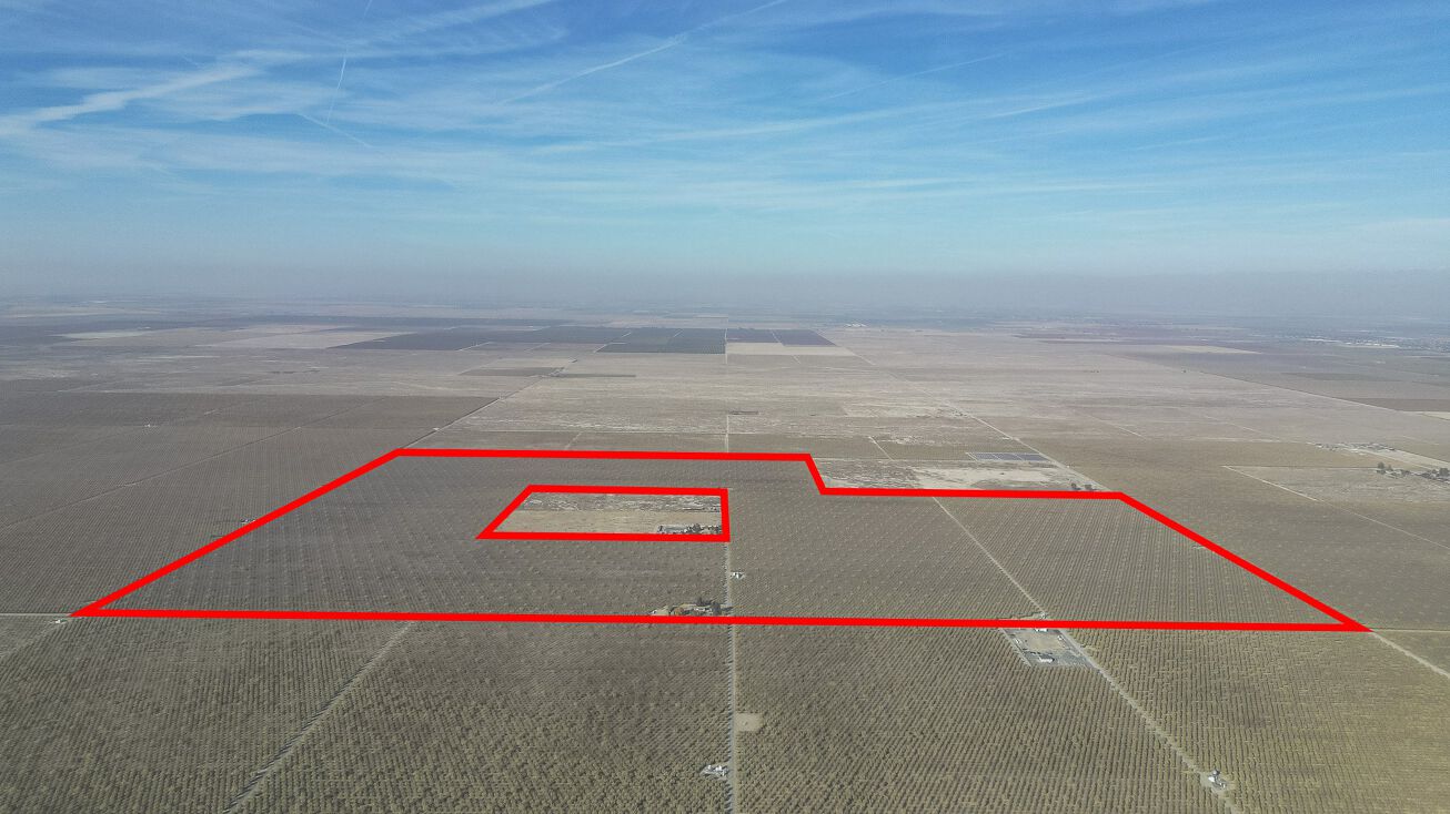 10570 Ave 16, Delano, CA 93215 Land for Sale +/380 Ac. Mature