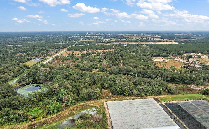 Pictures of Land property located at 34305 Riordan Rd, Eustis, FL 32736 for sales - image #1