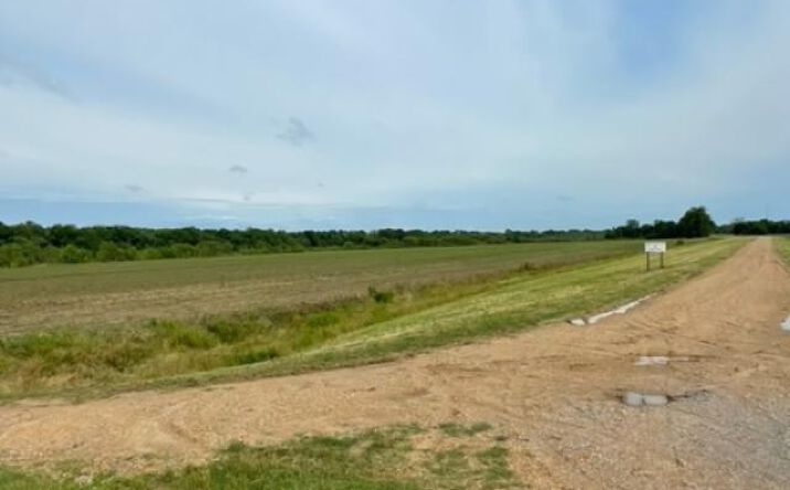Pictures of Land property located at Robert E. Lee Extended, Avalon, MS 38930 for sales - image #1