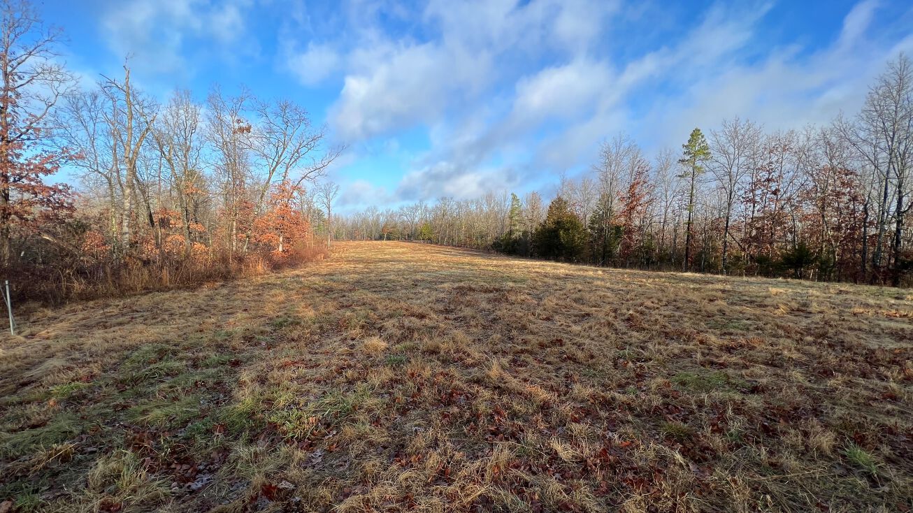 Courtois Rd. (85+/ Acres), Viburnum, MO 65566 Land for Sale