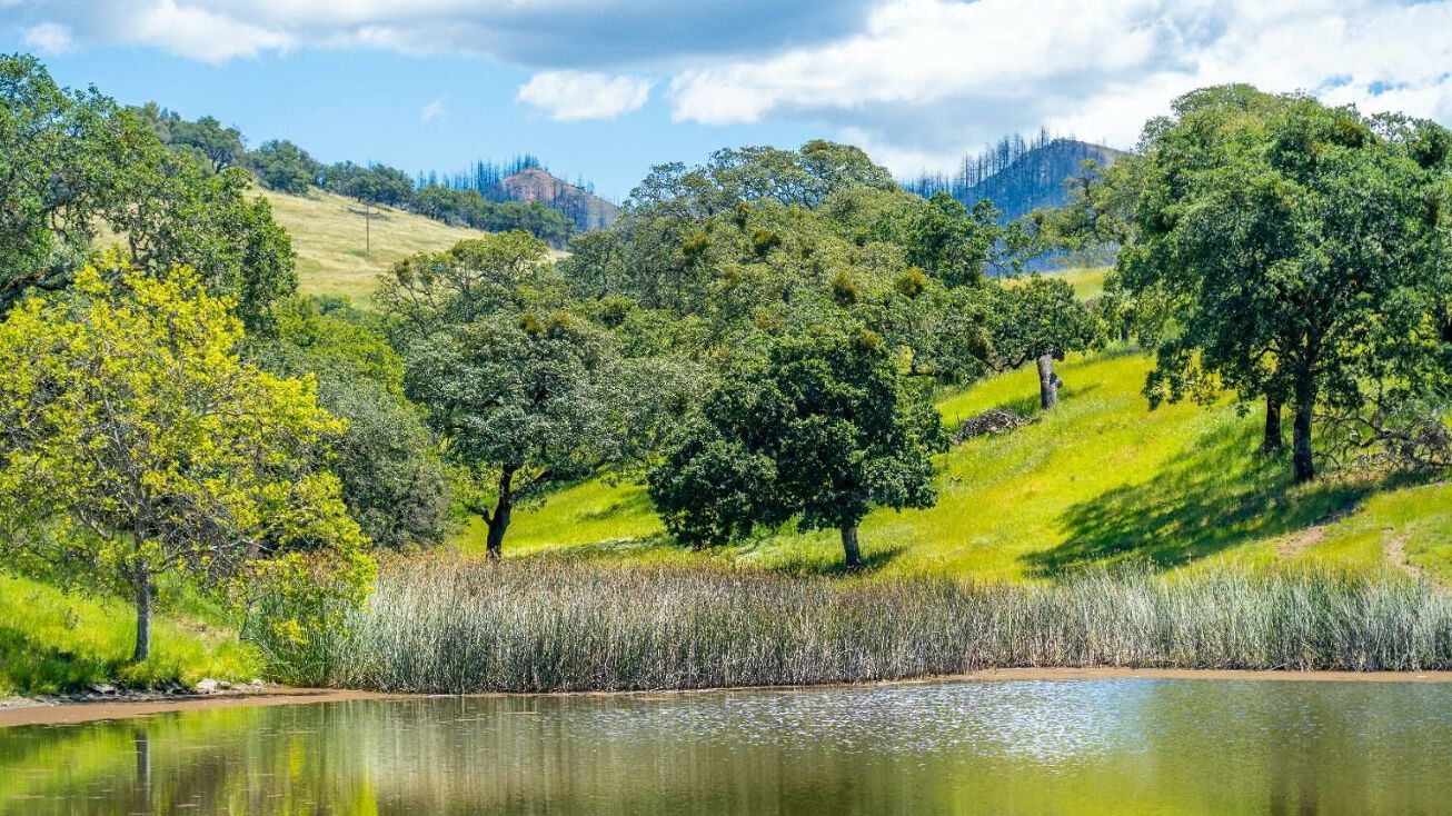 965 Los Alamos Rd, Santa Rosa, CA 95409