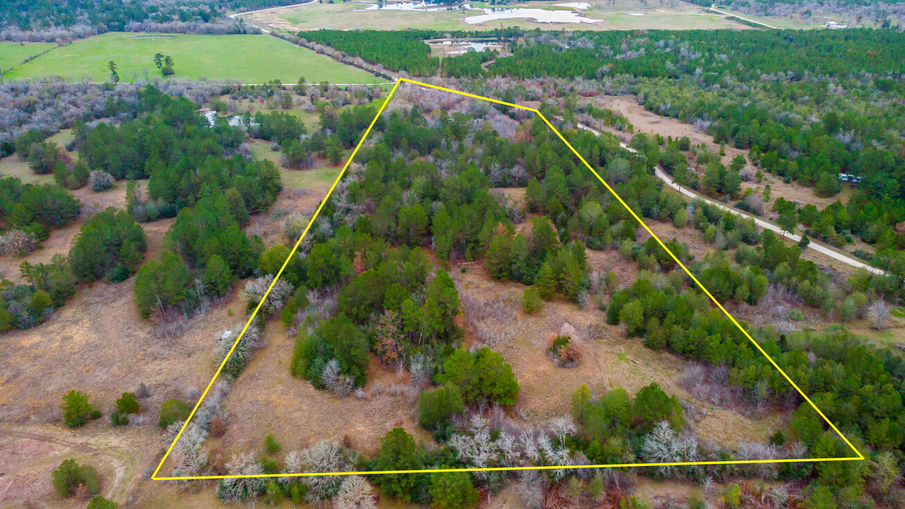 TBD Scales Ranch Rd, Bedias, TX 77831 Land for Sale TBD Scales Ranch Rd