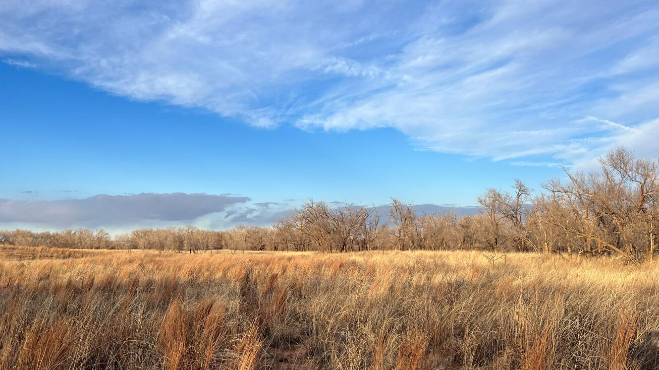 County Road D, Lakeview, TX, Lakeview, TX 79239 Land for Sale 140