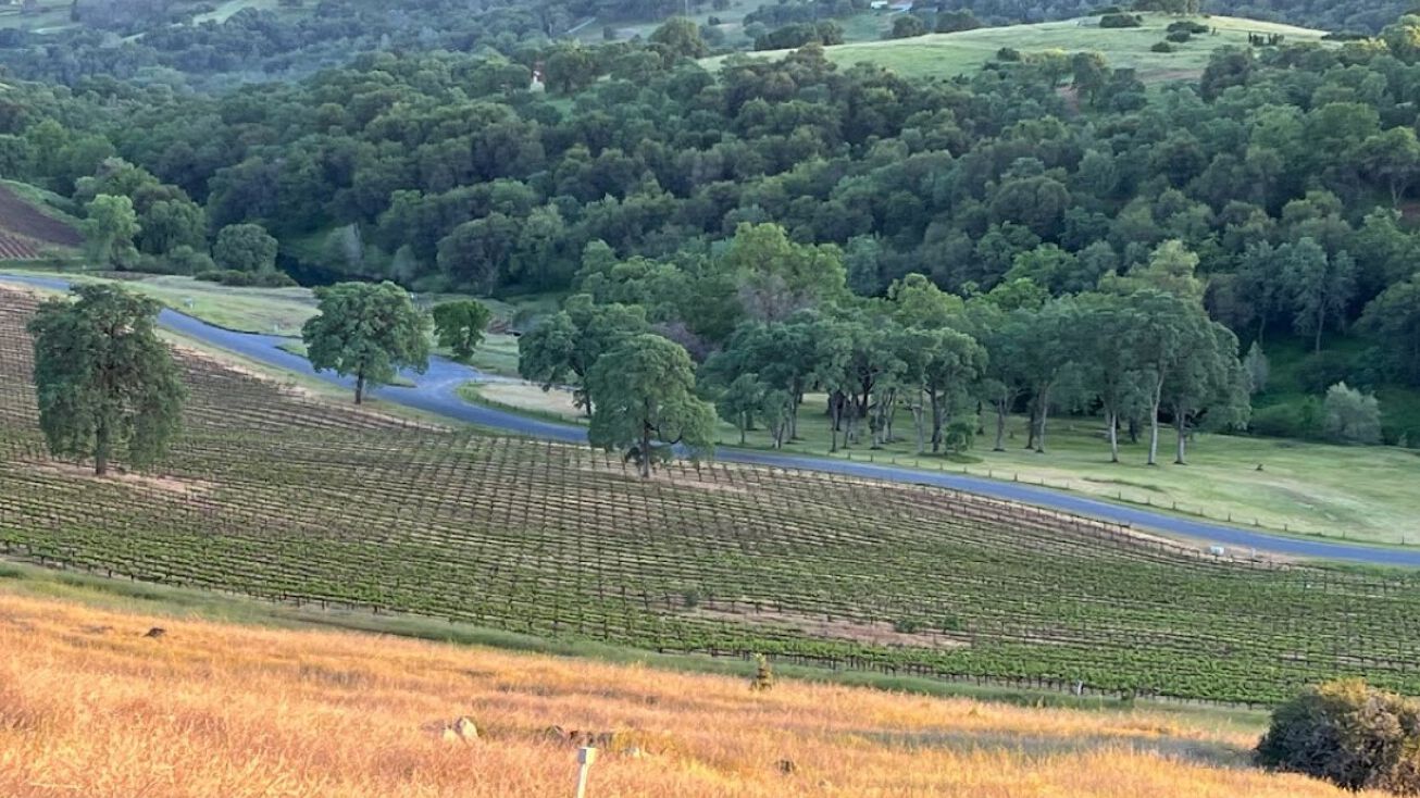 Salmon Falls Rd, Pilot Hill, CA 95664