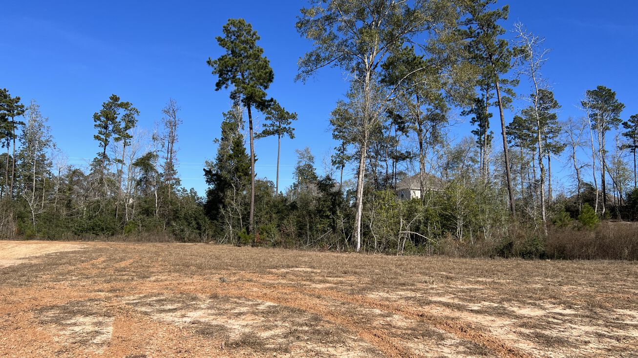 Jim Hall Ln, New Waverly, TX 77358