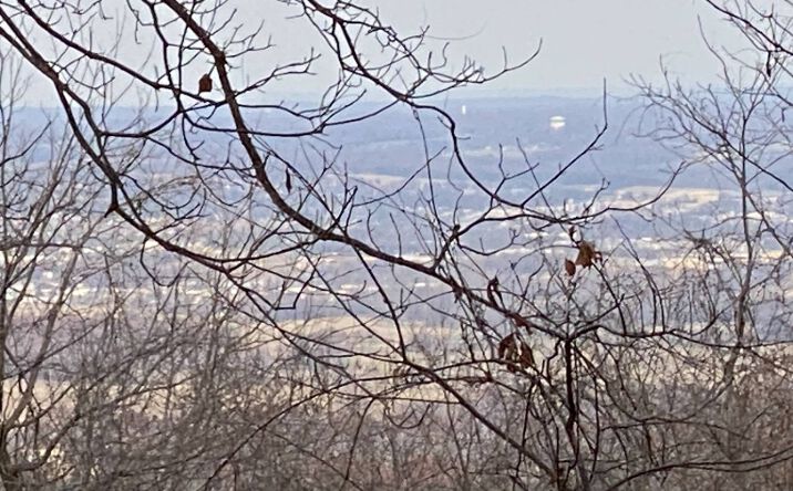 Pictures of Land property located at Creel Rd, Harrison, AR 72601 for sales - image #1
