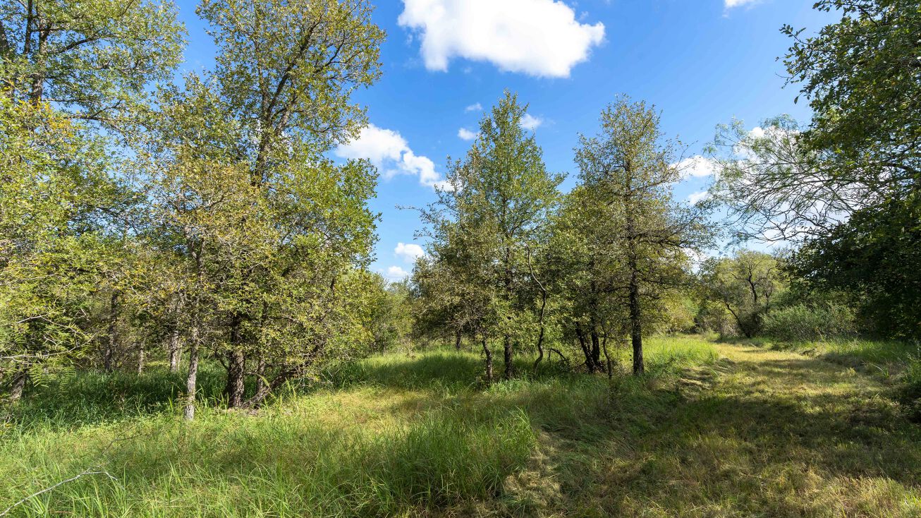 S Hwy 183, Lockhart, TX 78644