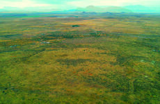 9679450