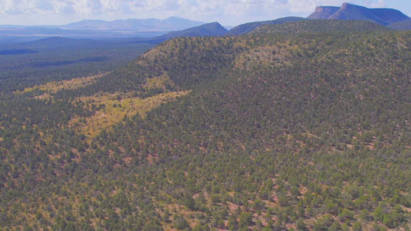 N Rancheria Rd, Seligman, AZ 86337