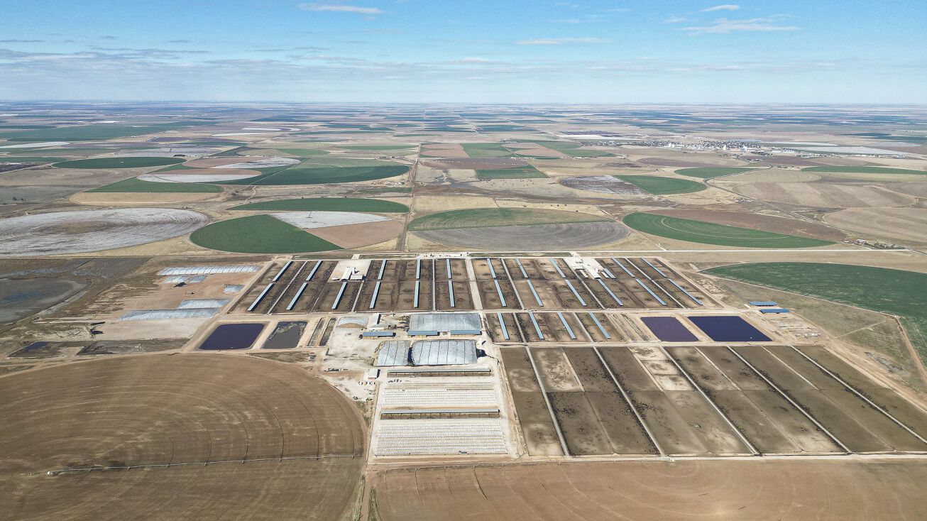 2300 Co Rd 628, Hart, TX 79043