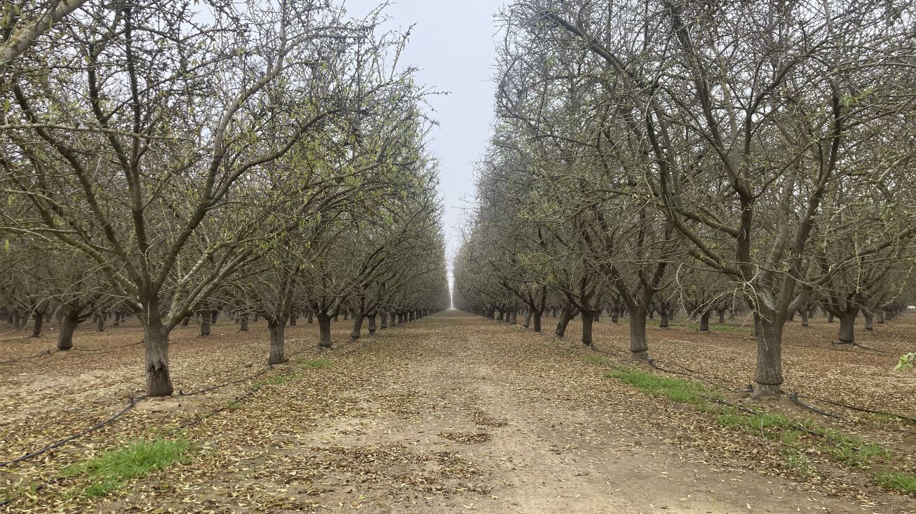 Seventh Standard Rd, Shafter, CA 93263