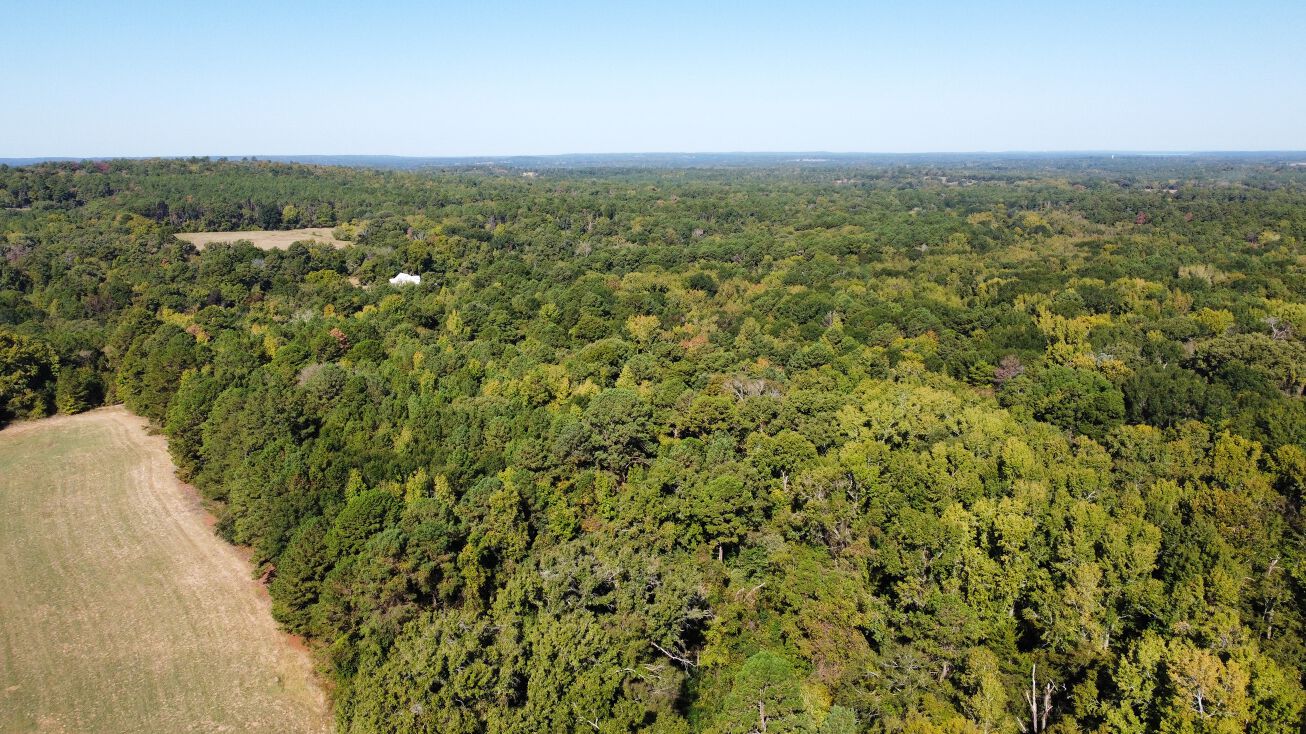 Co Rd 3305, Jacksonville, TX 75766