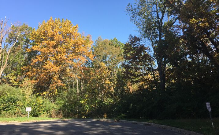Pictures of Land property located at 7111 Forest Oak Dr, McHenry, IL 60050 for sales - image #1
