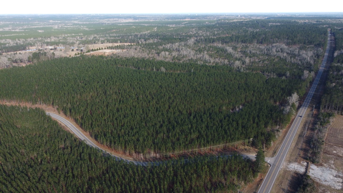 Highway 11 Tract 1, R.D. Hartfield and Tatum Camp Road, Hattiesburg