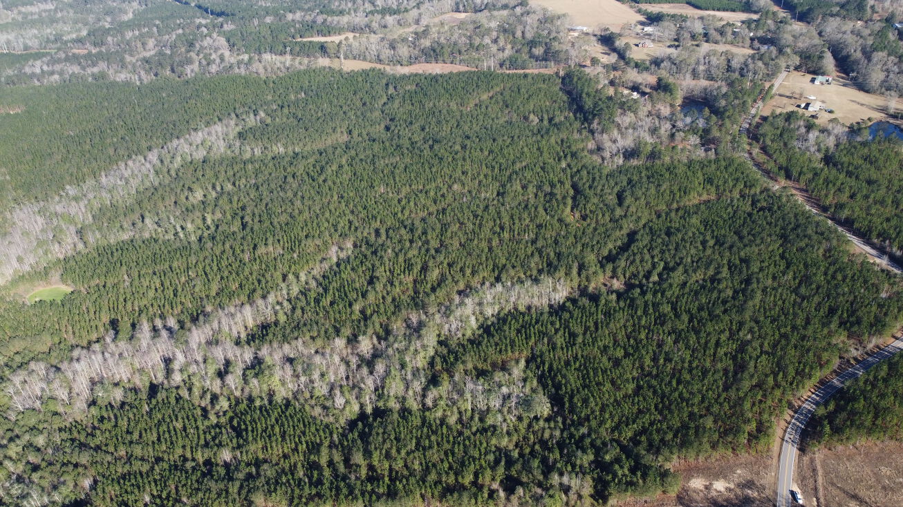 Highway 11 / Industrial Site Tract 14, Hattiesburg, MS 39402 Land