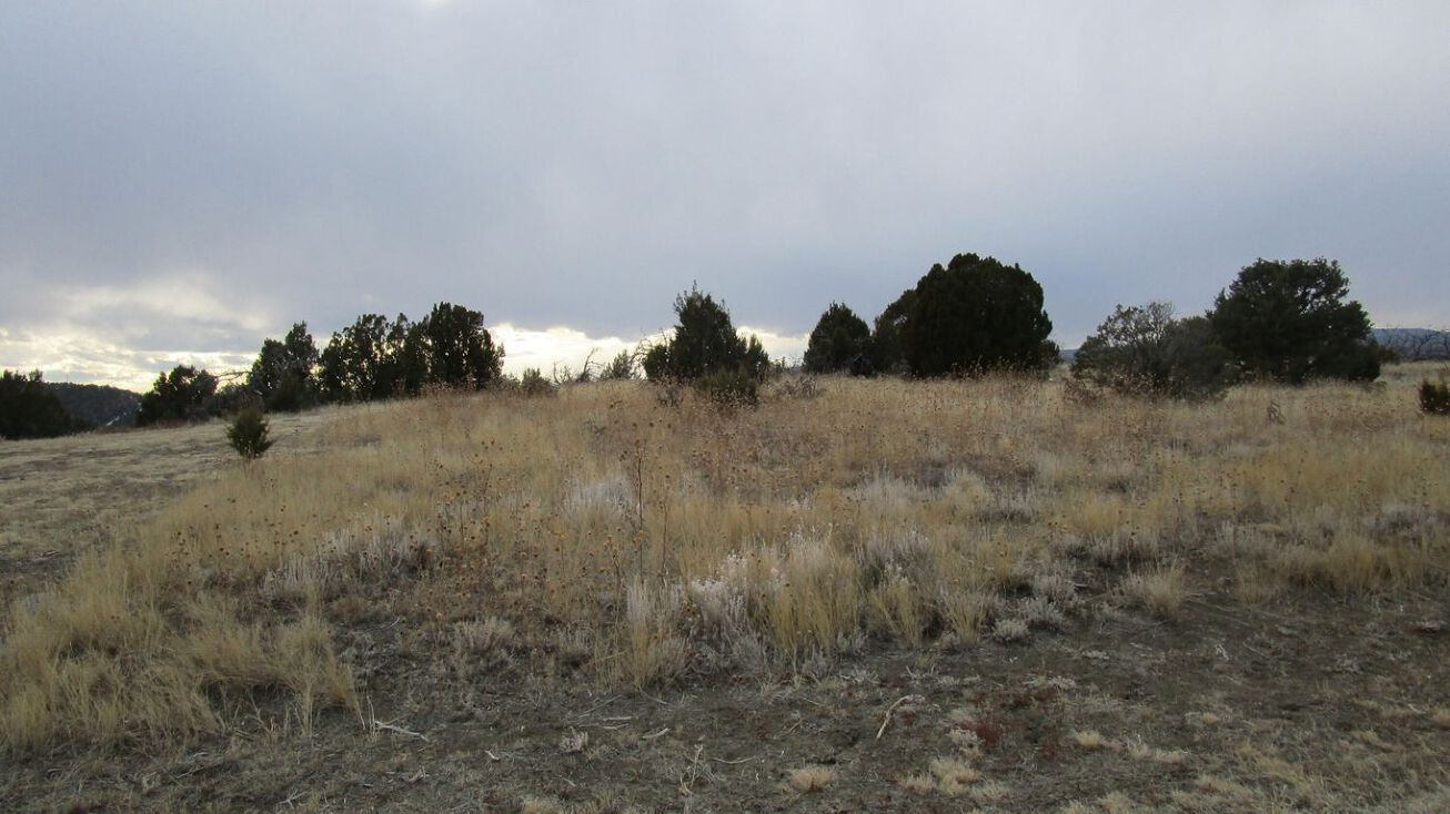 Lot 2 Pinon Terrace Filing No1, Trinidad, CO 81082 Land for Sale