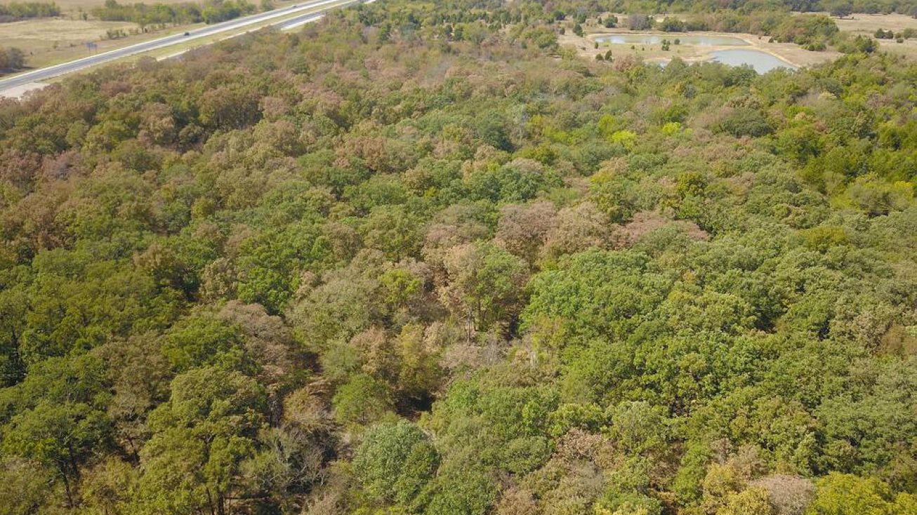Okfuskee County 62, Okemah, OK 74859 Land for Sale Okfuskee County 62