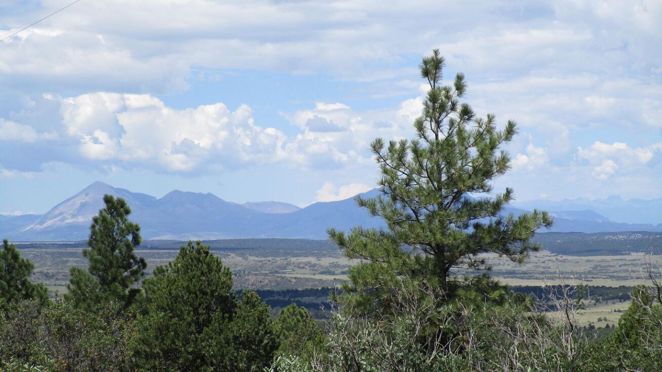 174 & 176 Blackhawk Ranch, Trinidad, CO 81082