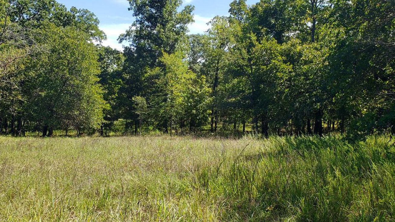Jones Rd, Okmulgee, OK 74447 Land for Sale Deep Fork 175