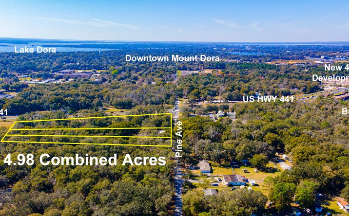Pictures of Land property located at US-441, Mt Dora, FL 32818 for sales - image #1
