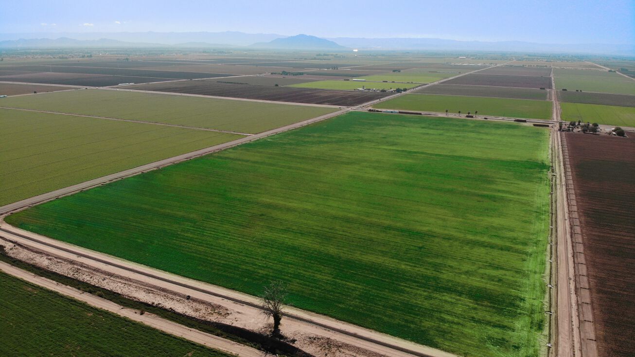 1104 E Heber Rd, Holtville, CA 92250