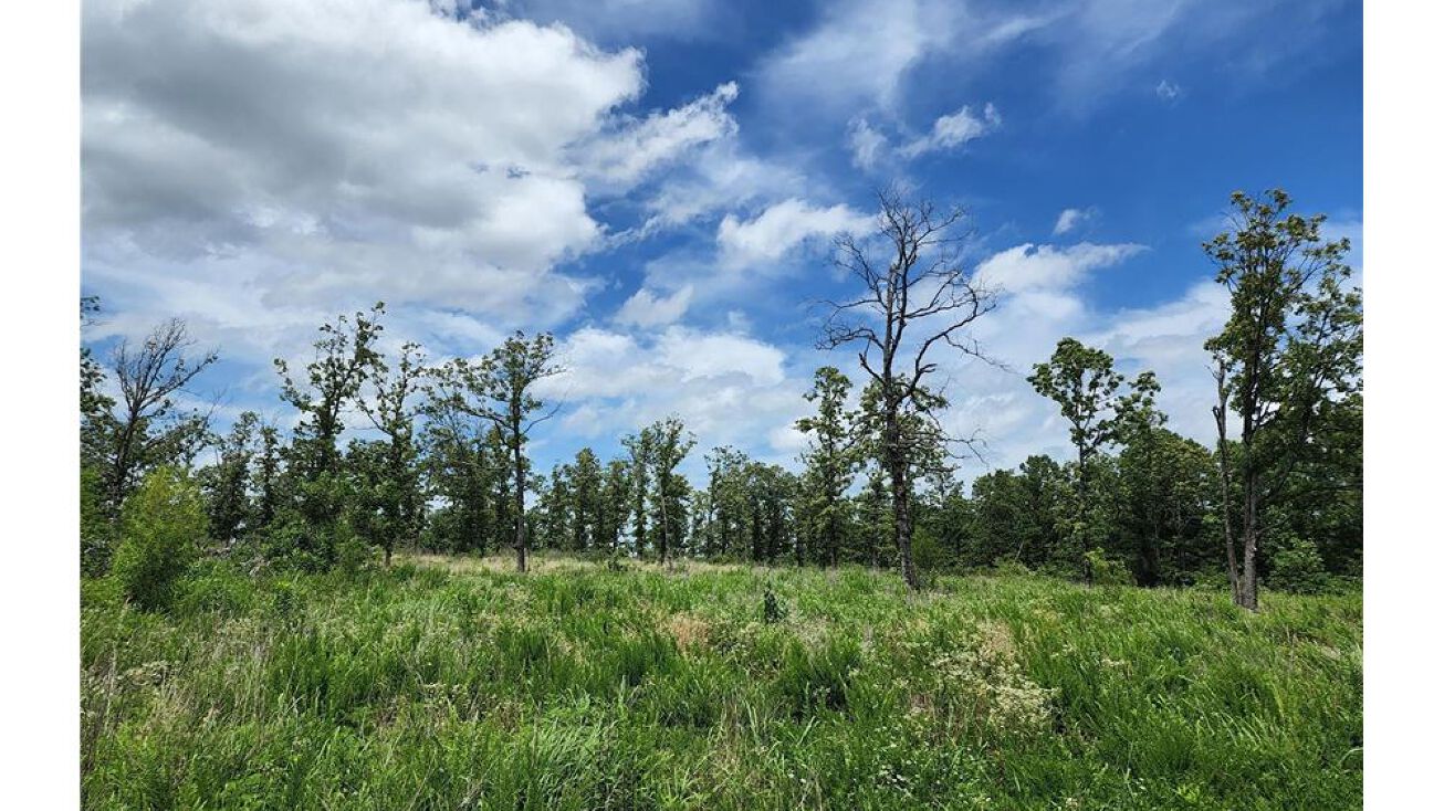 1 SE 1140th Ave, Talihina, OK 74571