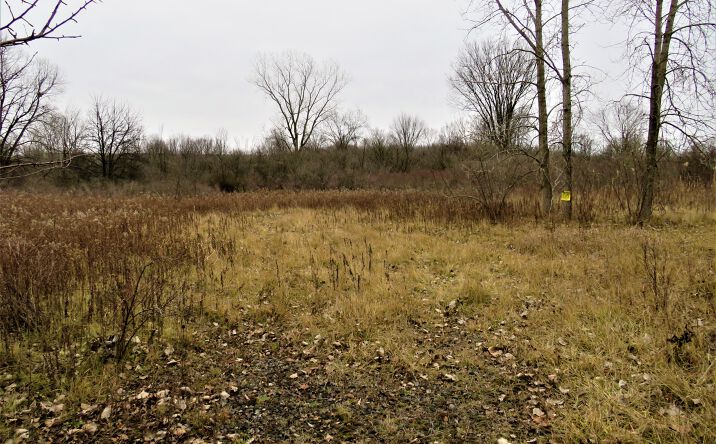 Pictures of Land property located at 15501 Metro Parkway, Clinton Township, MI 48036 for sales - image #1