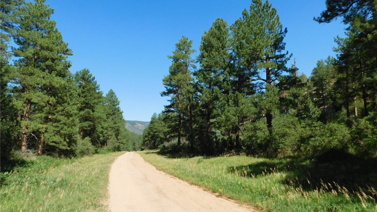 4875 Mohawk Dr, Larkspur, CO 80118