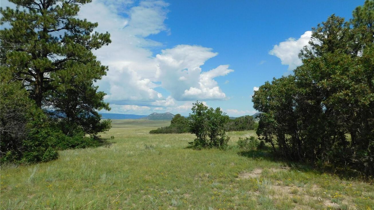 14000 True Mountain Dr, Larkspur, CO 80118