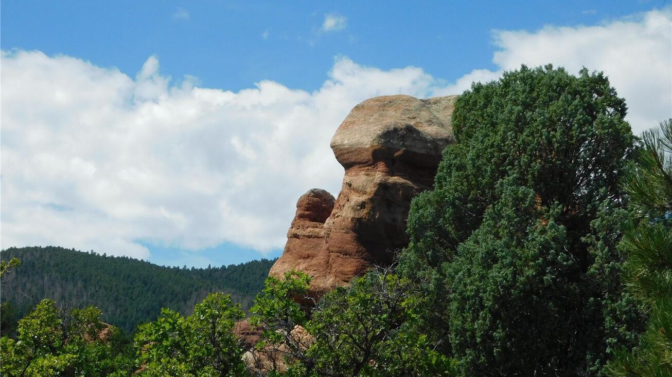 6426 Torrey Pines Dr, Larkspur, CO 80118 Land for Sale 6426 Torrey