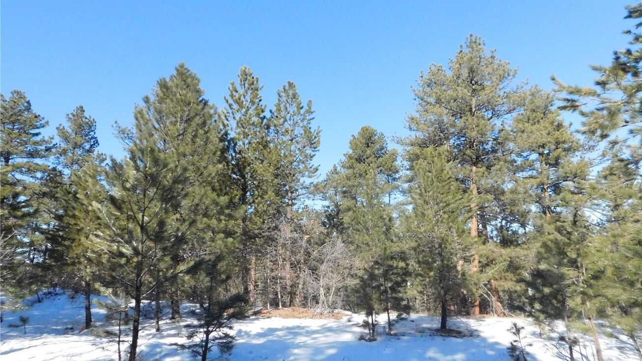 2301 Senecio Dr, Larkspur, CO 80118 Land for Sale 2301 Senecio Circle
