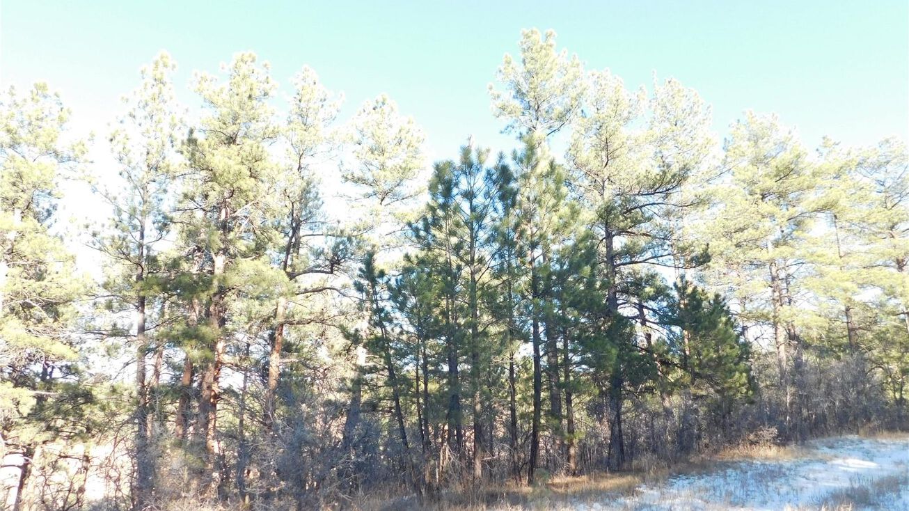 2369 Kinnikinnik Dr, Larkspur, CO 80118