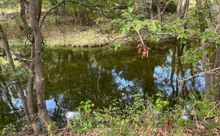 Pictures of Land property located at 15849 Decker Lake Rd, Manor, TX 78653 for sales - image #1
