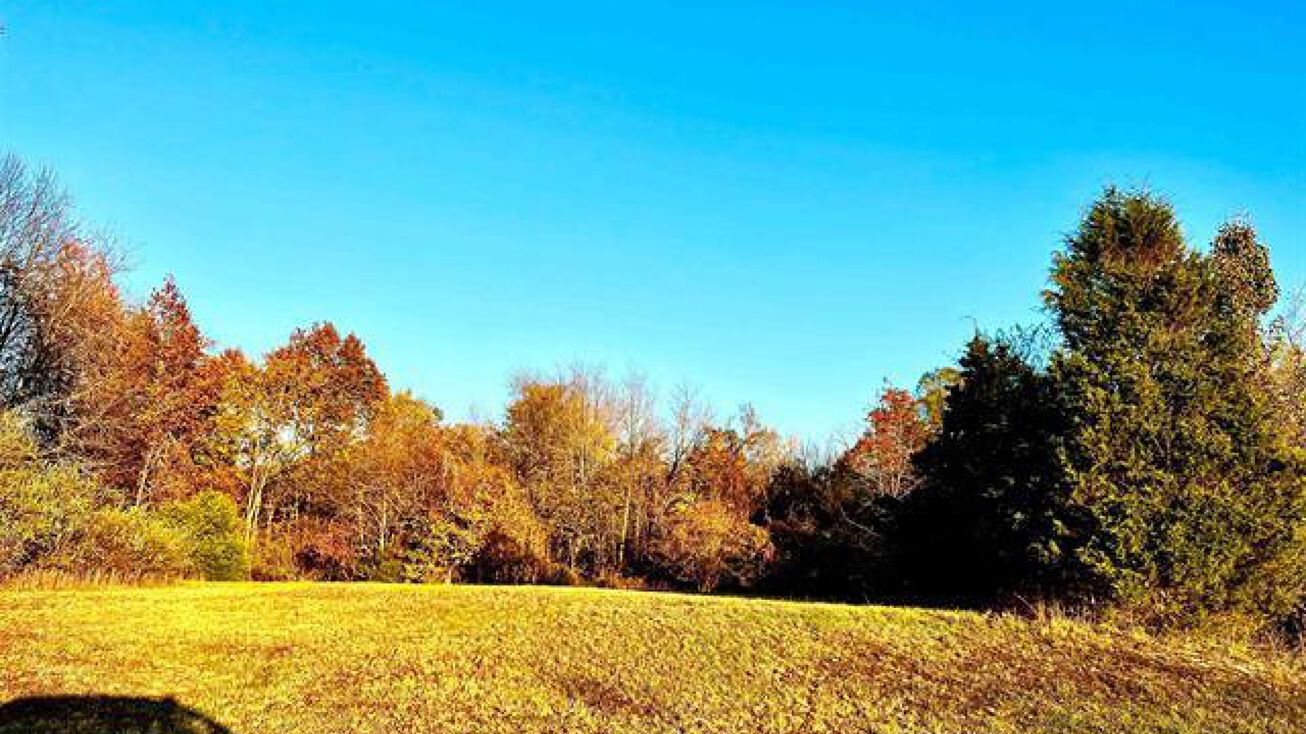 S Park Ave, Herrin, IL 62948