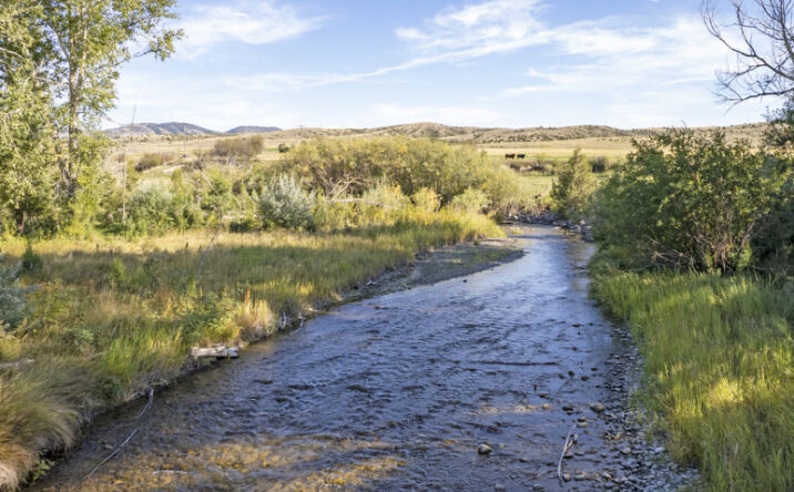 Pictures of Land property located at 726 Lower Deep Creek Road, Townsend, MT 59644 for sales - image #1