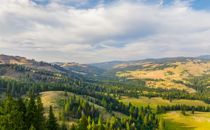 Pictures of Land property located at NF - 618, Ola, ID 83637 for sales - image #1