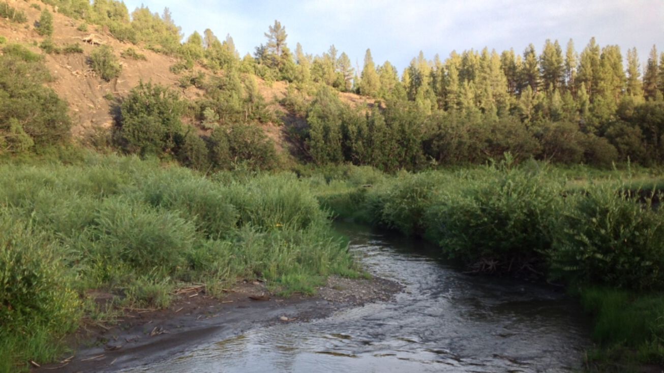 396 NM 121, Chacon, NM 87713 Land for Sale Mora River Refuge