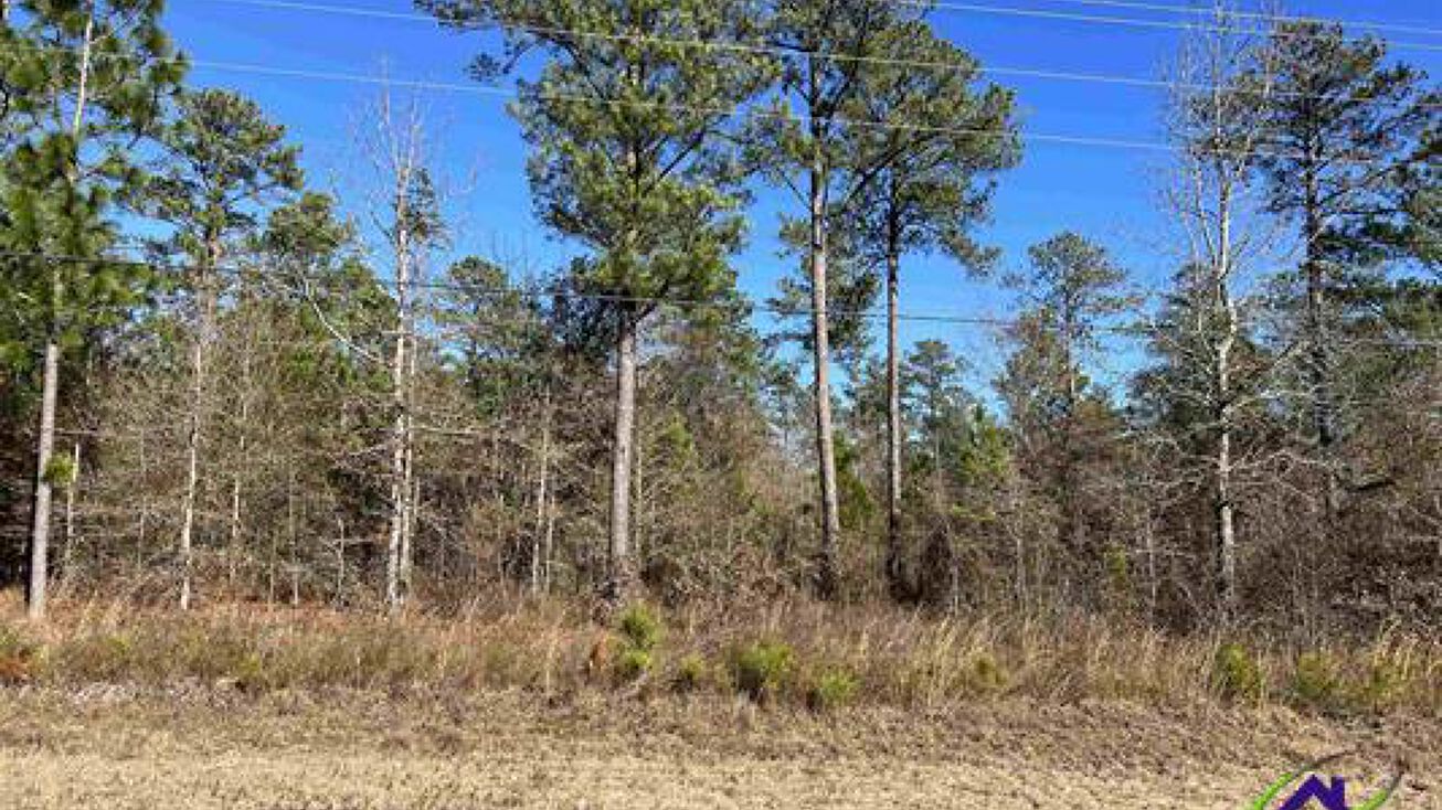 Denny Coley Rd, Cochran, GA 31014 Land for Sale Denny Coley Road