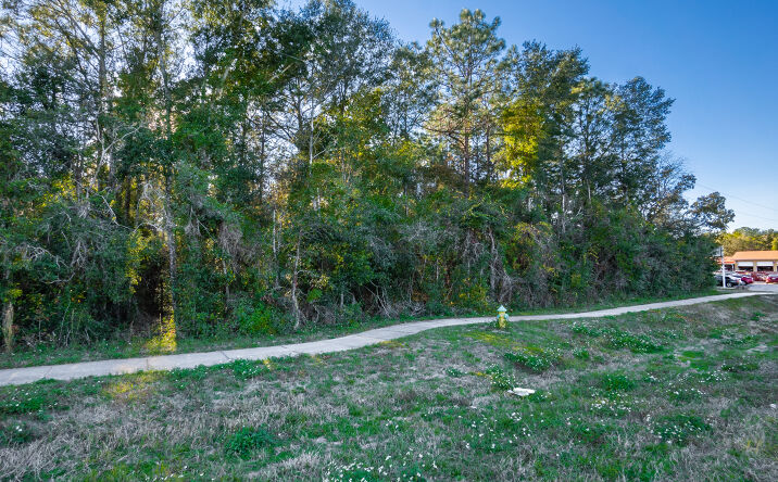 Pictures of Land property located at 4164 W Gulf to Lake Hwy, Lecanto, FL 34461 for sales - image #1