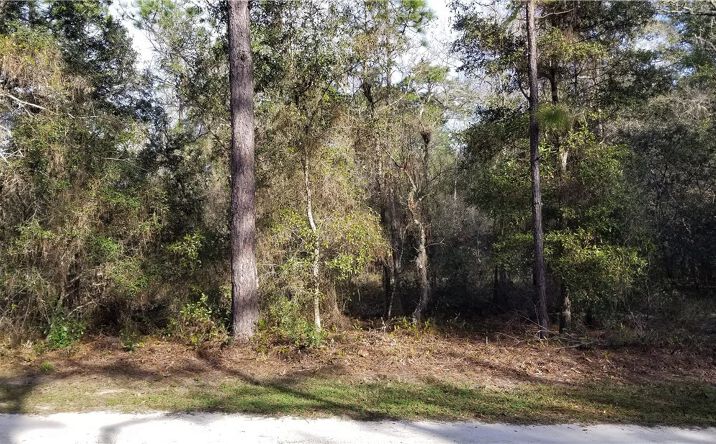 7453 W Broadway St, Dunnellon, Fl 34433 - Land For Sale - 7453 W 