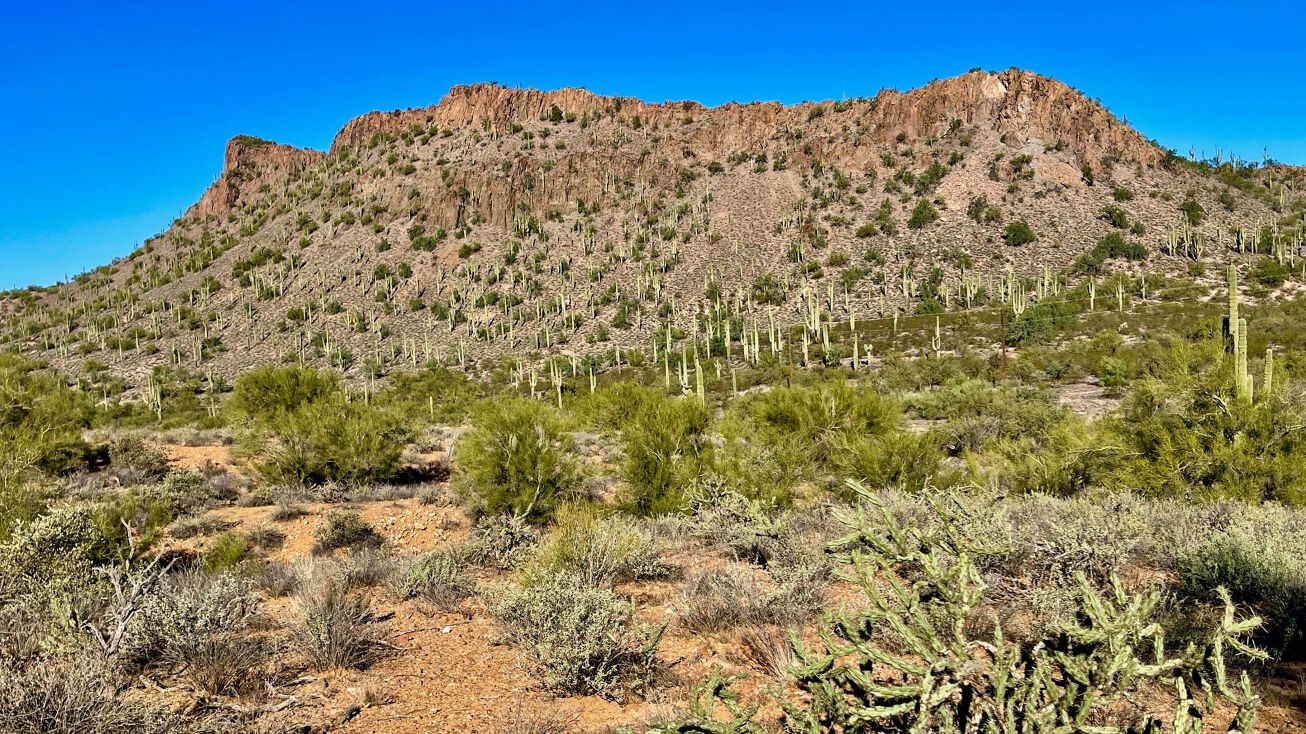 42XX2 N 16th St, New River, AZ 85087