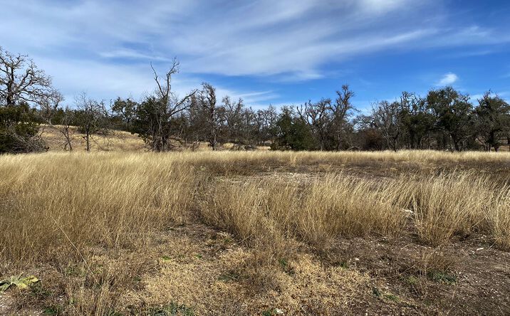 Pictures of Land property located at 7490 N US Hwy 87, Fredericksburg, TX 78624 for sales - image #1