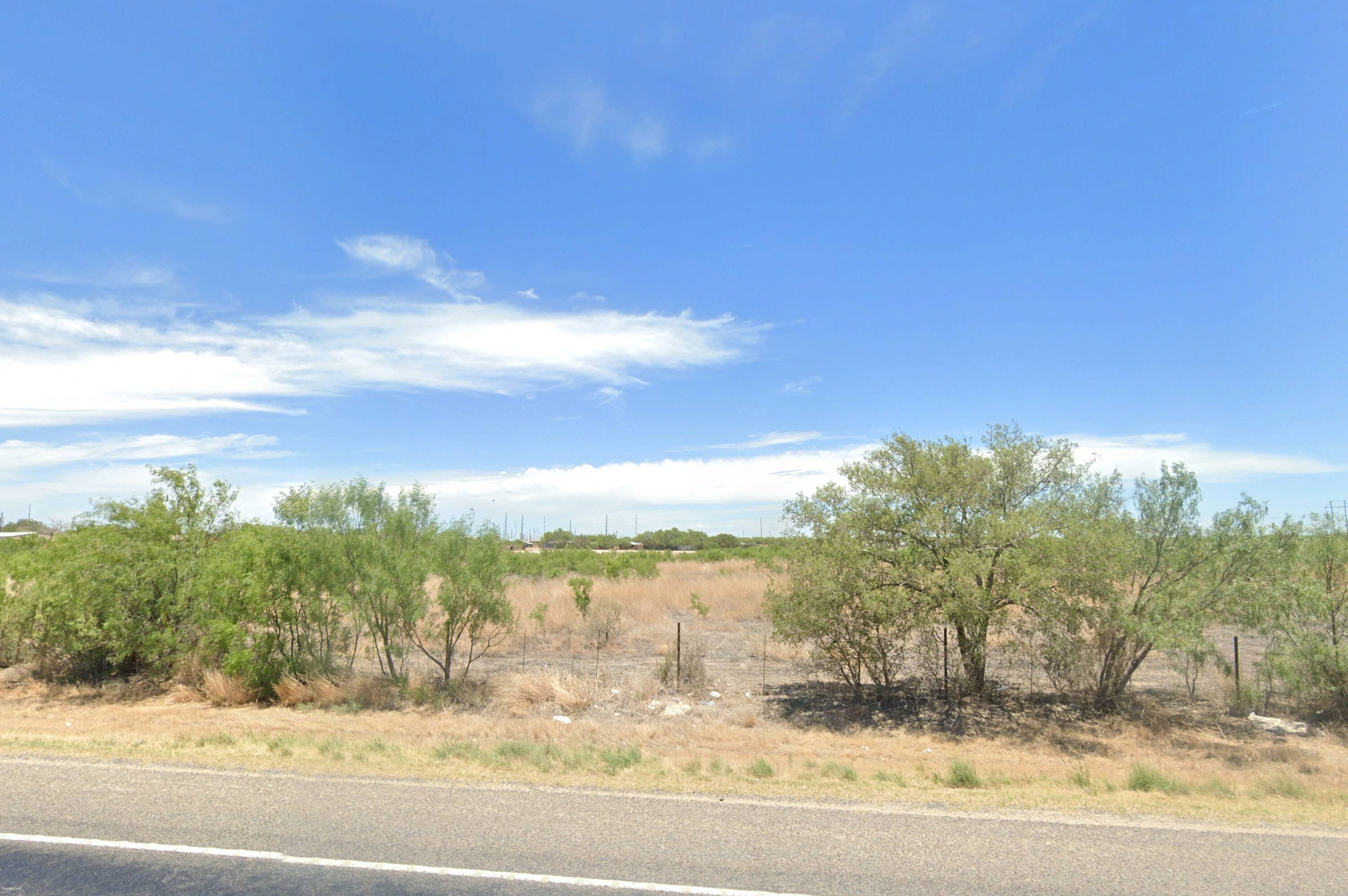 Image of undeveloped land with natural vegetation in Big Lake, TX.