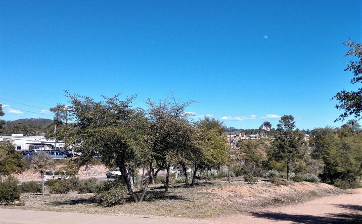 Pictures of Land property located at 201 W Longhorn Rd, Payson, AZ 85541 for sales - image #1